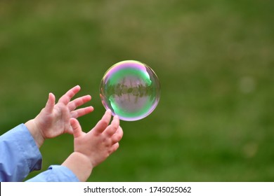 Large Bubble Being Caught by a Young Child Outside in the Spring Close Up Abstract - Powered by Shutterstock