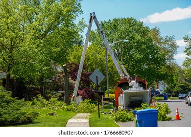 Large Bucket Crane Truck With A Long Arm Is Seen In Front Of A House Where A Large Tree Is Partially Cut Down