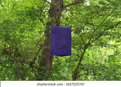 Large Bug Catcher Hanging From A Tree In The Forest.                               