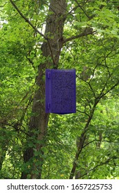 Large Bug Catcher Hanging From A Tree In The Forest.                               