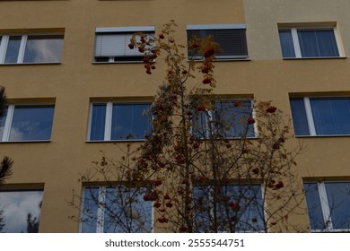 A large building featuring numerous windows, with a tree gracefully standing in front of it, enhancing the urban landscape and design
