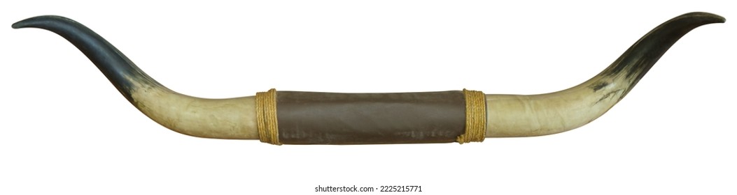 Large bull horns isolated on white background. This has clipping path. 
