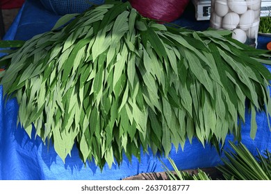 A large bunch of fresh daun kesum, also known as Vietnamese coriander or laksa leaf, is displayed in abundance at a traditional market stall. 