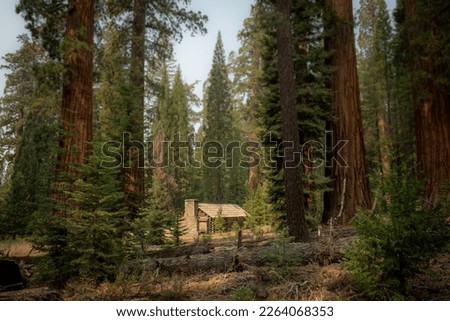 Large Cabin In A Grove of Sequoia Trees in Yosemite National Park