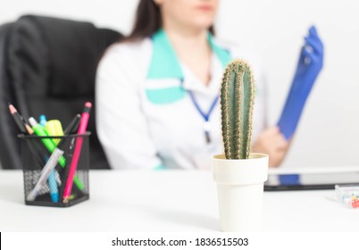 A large cactus stands against the background of a doctor wearing a glove. The concept of rectal pain, hemorrhoids, anal itching, proctology