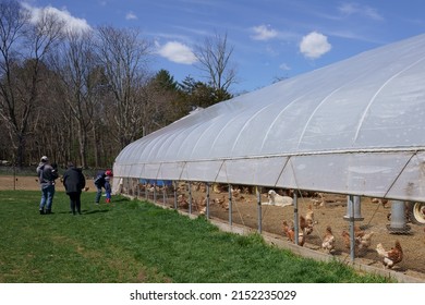 Large Cage Free Chicken Barn In Farm And Tourists