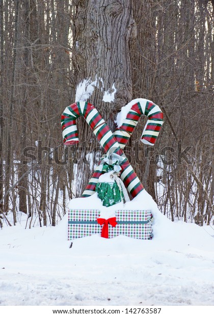 Large Candy Canes Gift Decorate Yard Stock Photo Edit Now 142763587