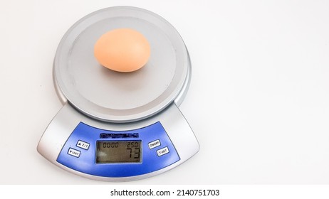 a large chicken egg is weighed on a kitchen scale. the image is isolated on white. good bird care