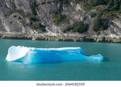 Large chunks of glacier ice float on the water. Beneath the blanket of snow, the frozen water is ice blue.
