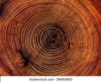 Large Circular Piece Of Wood Cross Section With Tree Ring Texture Pattern And Cracks. Orange And Black Circular Dark Pattern.