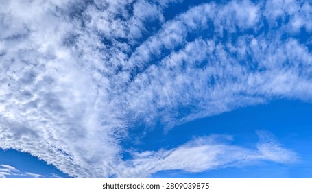 A large cirrus cloud. Clouds flowing lazily like cottony fibers against a clear, serene blue background. The sky speaks of calm, peace, and silence.