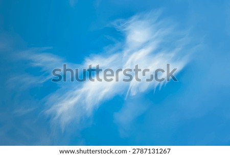 A large cirrus cloud. Clouds flowing lazily like cottony fibers against a clear, serene blue background. The sky speaks of calm, peace, and silence.
