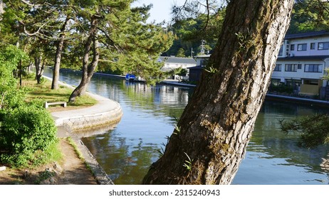 Large clear blue lake, clear and clean, with reflection of the sun on the water, very dense and Asian vegetation, around urban shores and trees, health and water walk, surface reflection - Shutterstock ID 2315240943