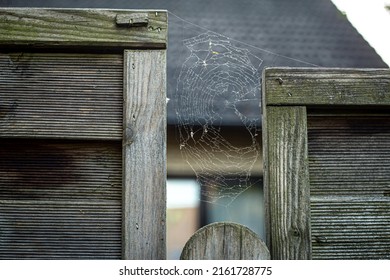 Large cobweb on a wooden fence close-up.