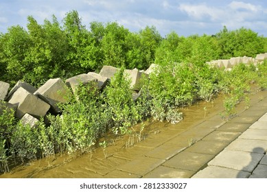 A large concrete embankment built with rectangular slabs forming a sloped spillway leading toward a water body. Vegetation grows near the water’s edge, and a small observation tower stands in the background under a partly cloudy sky. The scene highlights engineered flood‑control infrastructure integrated into a natural river landscape.