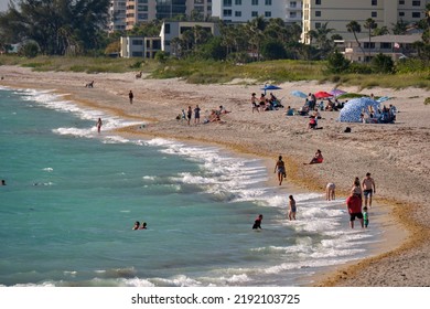 Large Crowd Of People On Sandy Ocean Beach Sunbathing And Enjoyng Vacation By The Sea. Venice, USA - June 14, 2022.