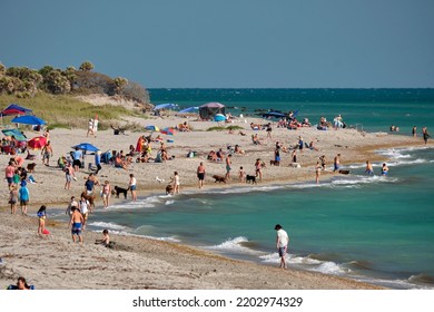 Large Crowd Of People On Sandy Ocean Beach Sunbathing And Enjoyng Vacation By The Sea. Venice, USA - June 14, 2022.