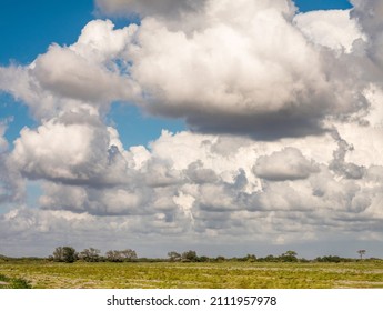 Large cumulus clouds over farmland, apparently idle, on a sunny afternoon in southwest Florida