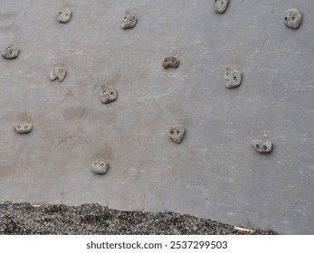 A large curved concrete climbing wall with numerous rock-like handholds arranged across its surface, set against a blue sky. - Powered by Shutterstock