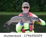 A large dark gray channel catfish fish being held horizontally by smiling short haired woman in a baseball cap and gloves on a bright river on a bright summer day