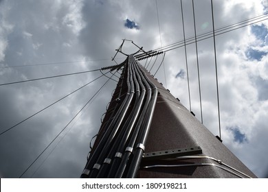 Large data cable run up a tall cellular telephone tower.