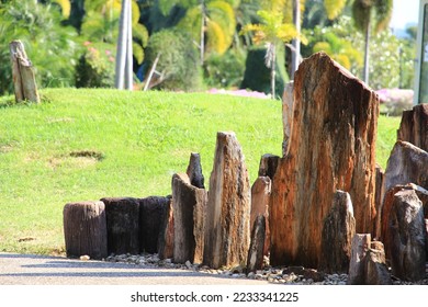 large decorative stone at the park it beautiful and natural. - Shutterstock ID 2233341225