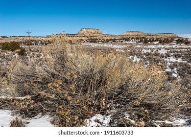 Large Desert Brush In Front Of Wide Open Snow Covered Desert Vista With Mountains On Clear Day In Rural New Mexico