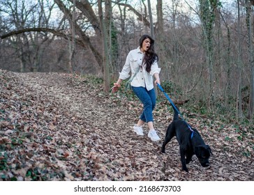 A Large Dog Drags A Pet Owner Into The Park. A Woman Walks With Her Black Labrador Outdoors. Funny Moments During The Walk.