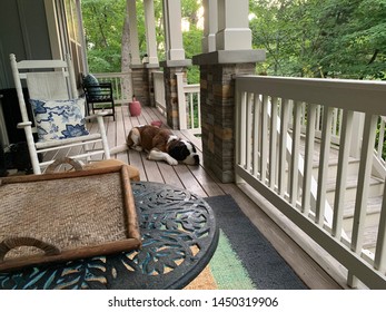 Large Dog Sleeping On Porch