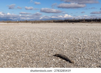 A large, empty field with a lone tree stump in the middle. The sky is clear and blue, with a few clouds scattered throughout. Scene is peaceful and serene, with the vast expanse of the field