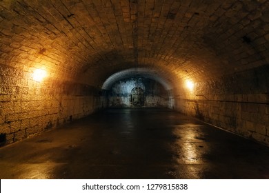 Large Empty Old Dark Underground Vaulted Cellar.