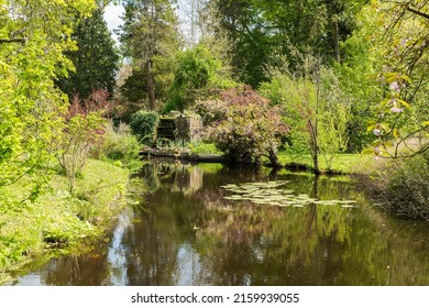 Large English Garden With Pond, Waterfall Stones And Many Green Shrubs And Trees