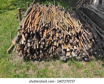 a large faggot (bundle) of wood sticks