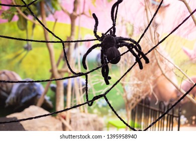 Large Fake Black Spider With Spider Web.
