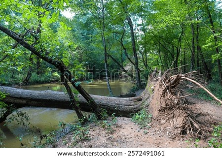 a large fallen tree in the forest over the silky brown waters of the Chattahoochee river surrounded by lush green and autumn colored trees at Cochran Shoals Trail in Marietta Georgia