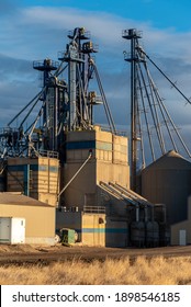 Large Feed Mill And Elevator For Cattle And Other Livestock In The Province Of Alberta. 