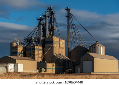 Large Feed Mill And Elevator For Cattle And Other Livestock In The Province Of Alberta. 