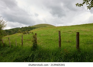 A large fenced pasture to keep cattle from fleeing