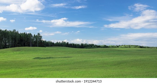 Large field with fresh green grass. Blue sky with sparse clouds and forest on the background. Calming summer landscape.