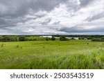 A large field of grass with a cloudy sky in the background. The sky is overcast and the grass is lush and green