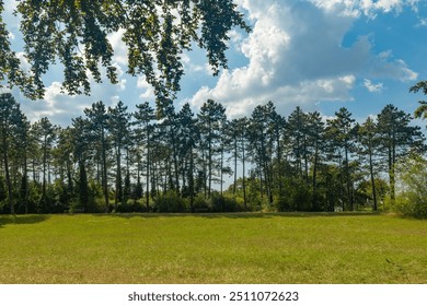 a large field of grass with trees in the background