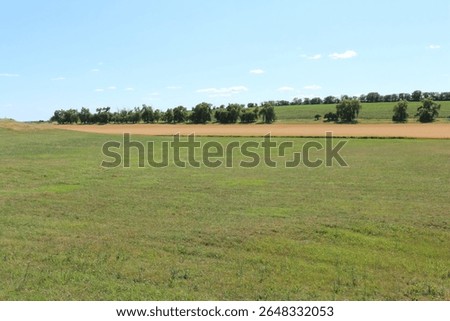 A large field with trees in the background