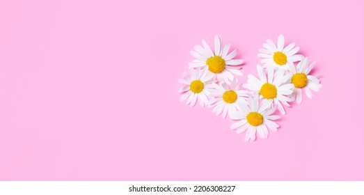 14,166 Heart Daisy Stock Photos, Images & Photography | Shutterstock