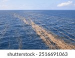 A large floating carpet of Sargassum algae in the north Australia sea.