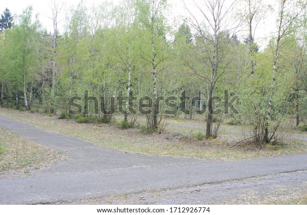 large forest car park for\
hikers