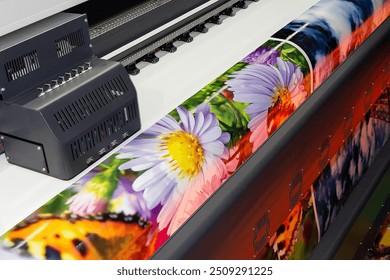 Free large format stock photos. Download the best free large format ...