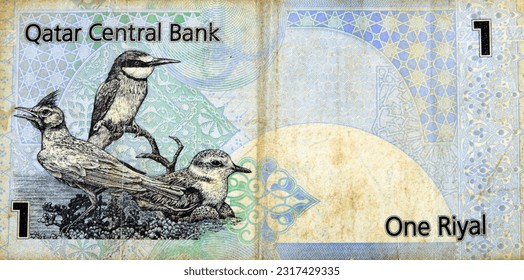 Large fragment of the reverse side of 1 Qatari Riyal cash money currency of Qatar banknote with native birds Crested Lark Galerida cristata, Eurasian Bee-Eater Merops apiaster, Lesser Sand Plover