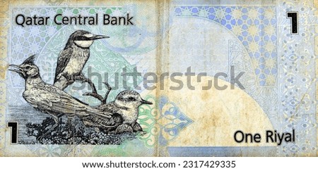 Large fragment of the reverse side of 1 Qatari Riyal cash money currency of Qatar banknote with native birds Crested Lark Galerida cristata, Eurasian Bee-Eater Merops apiaster, Lesser Sand Plover