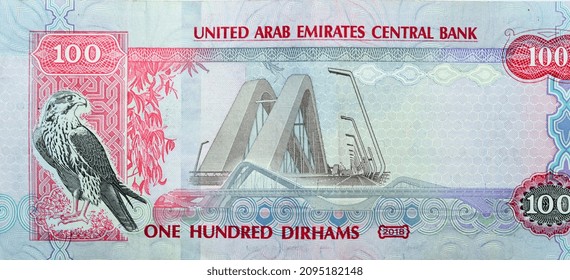 Large fragment of reverse side of 100 AED one hundred Dirhams banknote of United Arab Emirates, currency of the UAE with a picture Falcon and Sheikh Zayed Bridge series 2018, selective focus