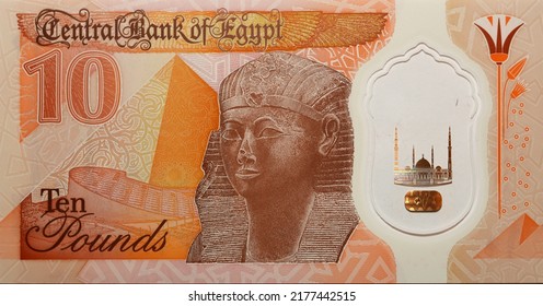 Large fragment of the reverse side of the new first Egyptian 10 LE EGP ten pounds plastic polymer banknote features a statue of Ancient Egyptian queen Hatshepsut and the pyramid, selective focus - Shutterstock ID 2177442515